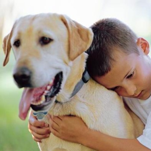 Five reasons getting a pet will be good for your child