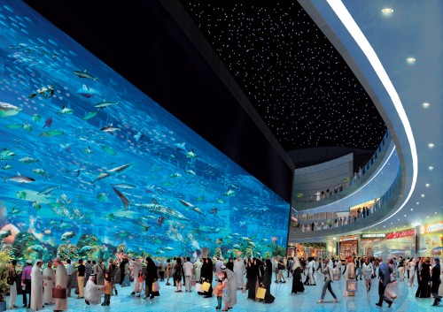 The country's best aquariums